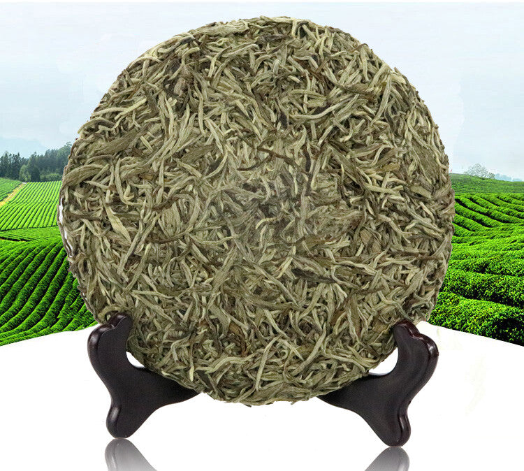 Spring White Tea Silver Needle Premium Baihao Yin Zhen Cake Kung Fu Tea 300g -