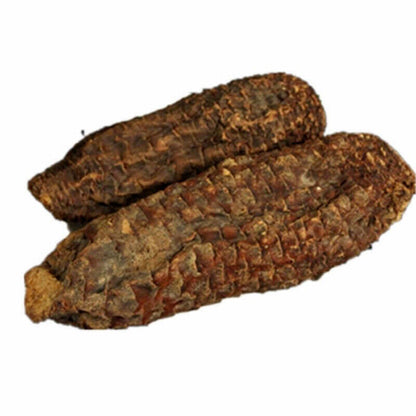 500g/1000g Natural Sinkiang Desertliving Cistanche Herb Wild Tonic Rou Song Rong