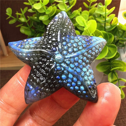 Natural Labradorite Hand Carved Starfish Skull Quartz Crystal Healing Reiki 1pc