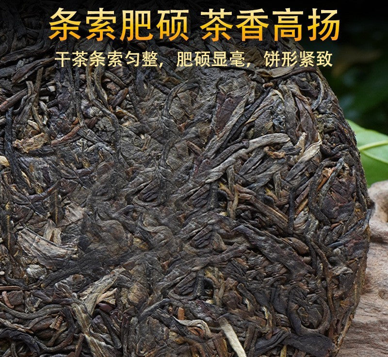 1000g Premium Yunnan Pu'er Tea Raw Tea Bulang Mountain Spring Tea Cake