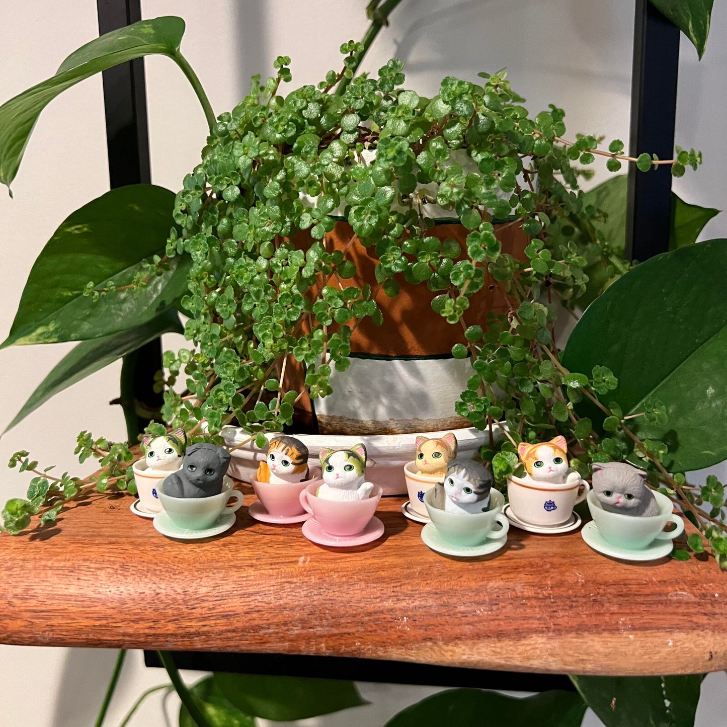 New Cat Statue, Super Cute Cat Model, Tea Cup Cat, Set of 8 Pieces, 0.8 Inches