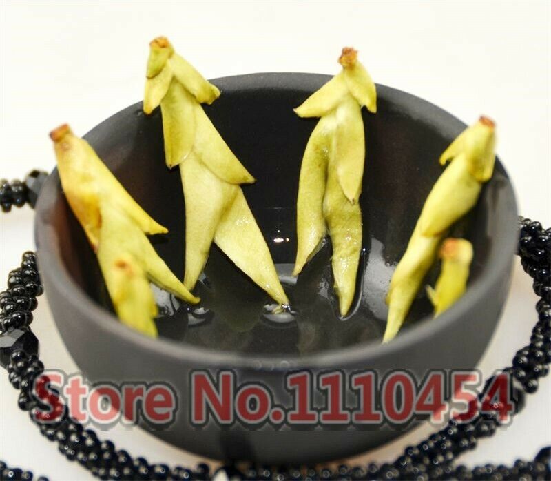 250g Bacillus Spores Wild White Tea Wild trees Spring Bud cha Tea Healthy tea