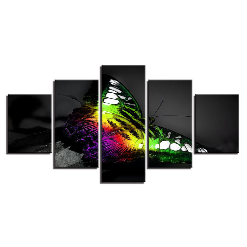 Colourful Butterfly Insect Canvas Prints Painting Wall Art Home Decor Picture 5P