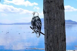Bald Eagle Decoration | Garden Art | Backyard Art | Tree Art | Silhouette Art