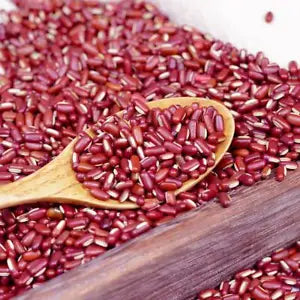 Dried Rice Bean Semen Phaseoli Vigna Umbellata High Quality