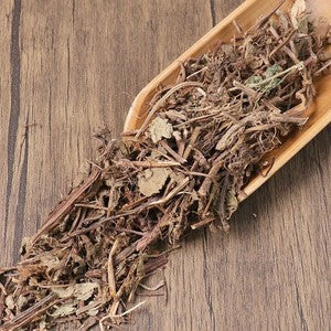 Organic Herbal Chinese Mesona Herb Mesona Chinensis Great Quality