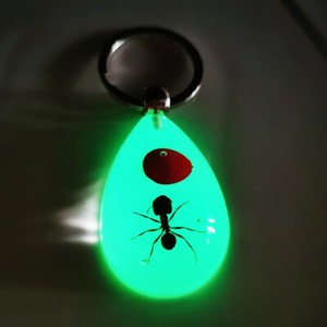 Luminous key chain amber insect ornament holiday gift crab seahorse ant flower