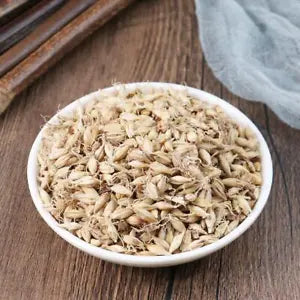 Organic herbal Fructus Hordei Germinatus Malt Hordeum Vulgare Great Quality