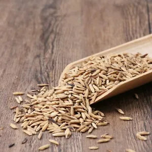 Organic Herbal Rice-grain Sprout Roasted Fructus Oryzae Germinatus Great Quality