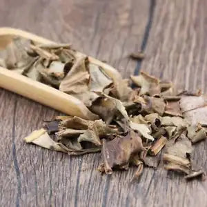 Organic Herbal Pyrrosiae Folium Pyrrosia Lingua Great Quality