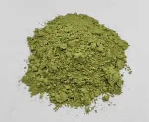 Matcha Latte Green Tea Powder with Shelf Stable Probiotics and Fiber, Sugar Free