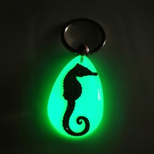 Luminous key chain amber insect ornament holiday gift crab seahorse ant flower