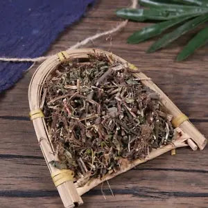 Organic Herbal Cliruo Podium Duanxueliu Clinopodium Chinense Great Quality