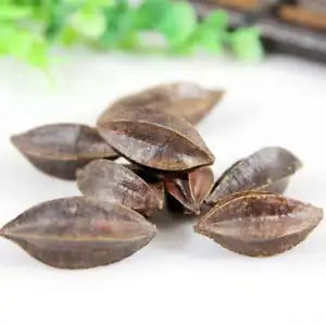 Organic Herbal Fructus Quisqualis Rangooncreeper Fruit Great Quality