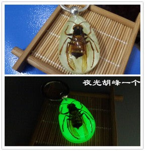 Luminous key chain amber insect ornament holiday gift crab seahorse ant flower