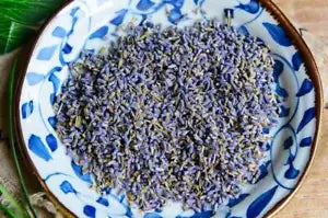 Dried Lavender Flower Lavandula Angustifolia Herbal Natural Makes A Healthy Tea