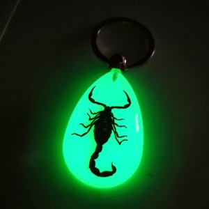 Luminous key chain amber insect ornament holiday gift crab seahorse ant flower