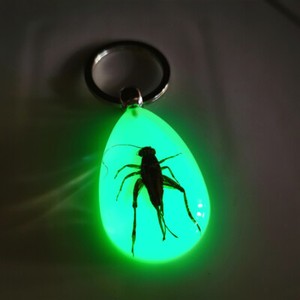 Luminous key chain amber insect ornament holiday gift crab seahorse ant flower