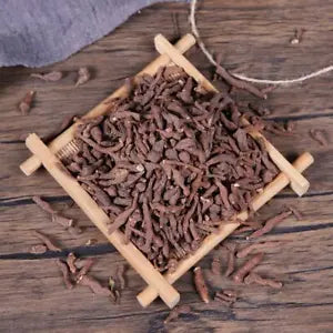 Organic Herbal Root of Silverweed Cinquefoil Potentilla Anserina Healthy Tea
