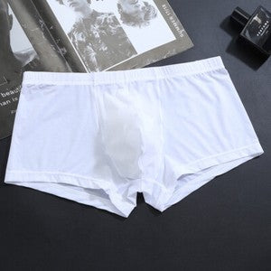 Men's Sexy Ice Silk Transparent Convex Panties Boxer Briefs Underpants Underwear