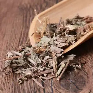 Natural Herbal Plantaginis Pure Plantain Herb Plantago Asiatica Great Quality