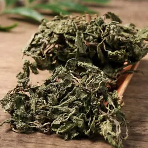 Organic Herbal Common Sage Herb Saluia Plebeia R. Br. Great Quality