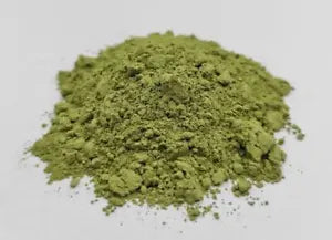 Green Tea Powder with Shelf Stable Probiotics and Fiber, Matcha Sugar Free