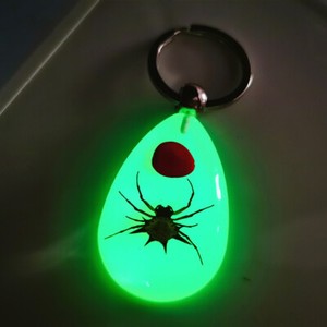 Luminous key chain amber insect ornament holiday gift crab seahorse ant flower