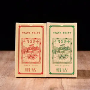 42g*10pcs Puerh Tea Ripened Tea Brick Tea Cloud Sea Revival No. Strip Brick