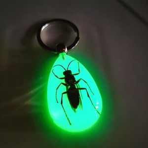 Luminous key chain amber insect ornament holiday gift crab seahorse ant flower