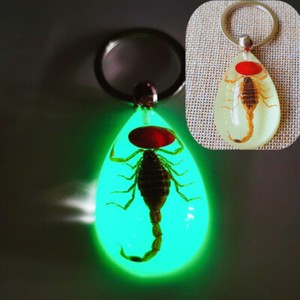 Luminous key chain amber insect ornament holiday gift crab seahorse ant flower