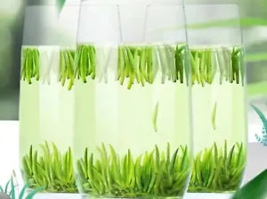 2023 Green Tea The Vert Tippy Tea Que She Like Bird Tougue 250g Spring Tea