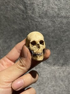 Alien Xenomorph Skull bone model For 1/6 Model Scene