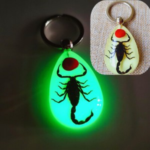 Luminous key chain amber insect ornament holiday gift crab seahorse ant flower
