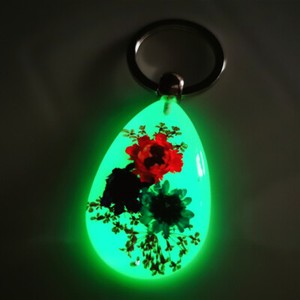 Luminous key chain amber insect ornament holiday gift crab seahorse ant flower