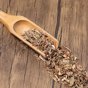 Organic Herbal Cuneate Lespedeza Herbal Lespedezae Cuneatae Great Quality