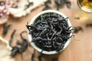 Premium Folium Eucommiae Dried Eucommia Ulmoides Oliv Pure Natural Herb