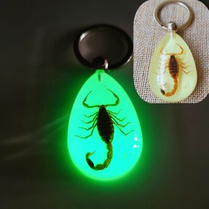 Luminous key chain amber insect ornament holiday gift crab seahorse ant flower