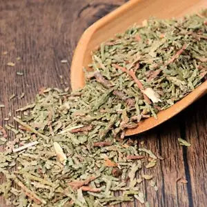 Organic Herbal Cacumen Platycladi Chinese Arborvitae Twig Great Quality