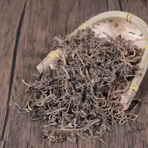 Organic herbal Parslane Herb herbal Portulacae Portolaca Oleracea Great Quality