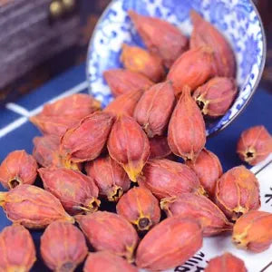 Dried Fructus Gardeniae Cape Jasmine Fruit Gardenia Jasminnoides High Quality