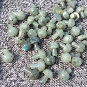A lot 15MM+ Natural mushroom Quartz Crystal Carved Polishing Wholesale Healing-5