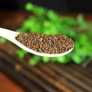 Pure Natural Flastem Milkvetch Seed Semen Astragali Complanati Great Quality