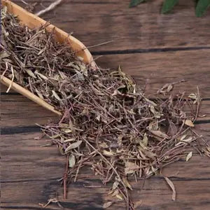 Organic Herbal Thymus Mongolicus Bailixiang Whole Herbs Great Quality