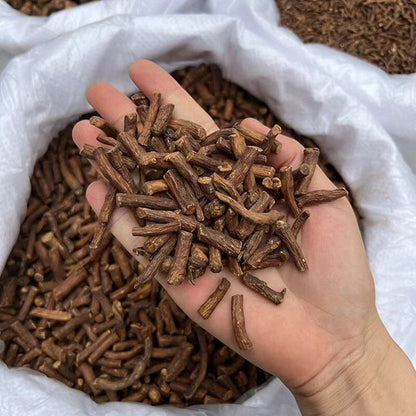 Loose-leaf herbal tea dandelion root蒲公英
