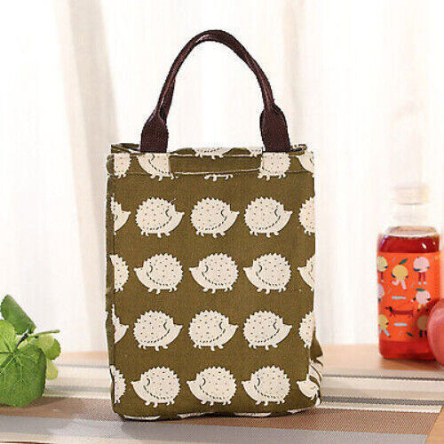 Box Bag Female Picnic Lunch Bags for Women Kids Men Cooler Tote Bag
