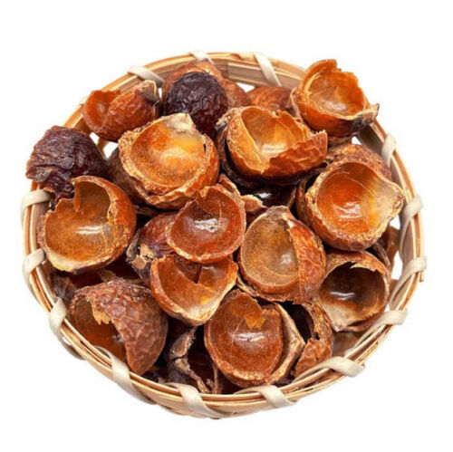 Sapindus indica pericarp herb Sapindus indica pericarp Sapindus indica500g/1.1lb