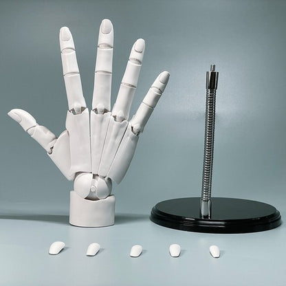 1: 1 Hand Model Multi Joint For Anime Painting Model Decoration