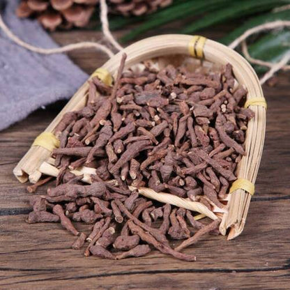 Organic Herbal Root of Silverweed Cinquefoil Potentilla Anserina Healthy Tea