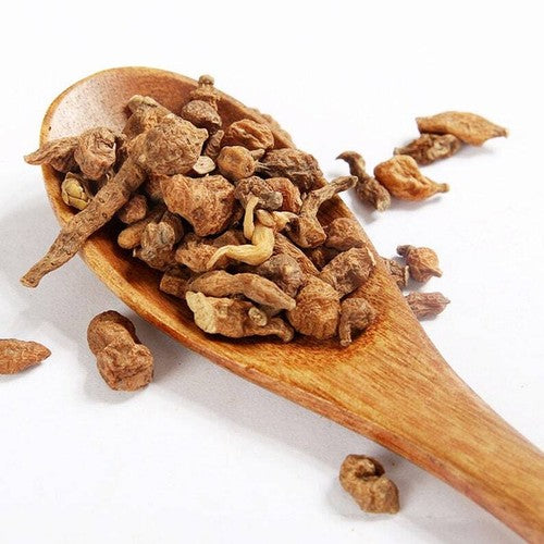 Recommend Dried Root of Silverweed Cinquefoil Premium Potentilla Anserina